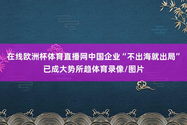 在线欧洲杯体育直播网中国企业“不出海就出局”已成大势所趋体育录像/图片