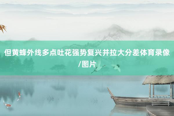 但黄蜂外线多点吐花强势复兴并拉大分差体育录像/图片