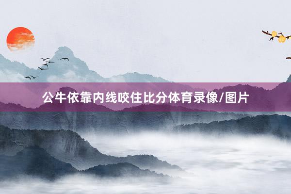 公牛依靠内线咬住比分体育录像/图片