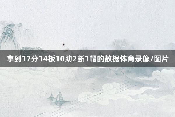 拿到17分14板10助2断1帽的数据体育录像/图片