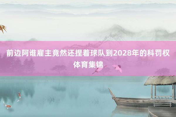 前边阿谁雇主竟然还捏着球队到2028年的科罚权体育集锦