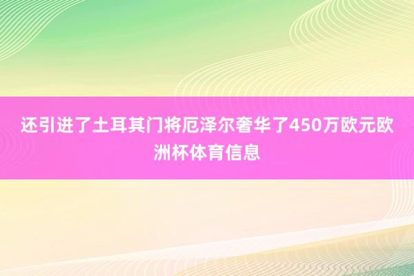 还引进了土耳其门将厄泽尔奢华了450万欧元欧洲杯体育信息