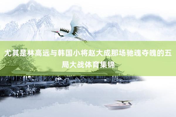 尤其是林高远与韩国小将赵大成那场驰魂夺魄的五局大战体育集锦