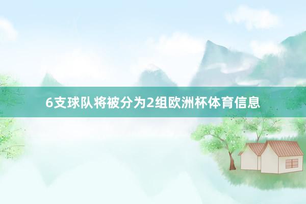 6支球队将被分为2组欧洲杯体育信息