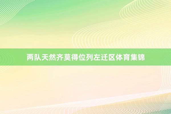 两队天然齐莫得位列左迁区体育集锦