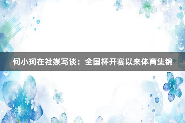 何小珂在社媒写谈:全国杯开赛以来体育集锦