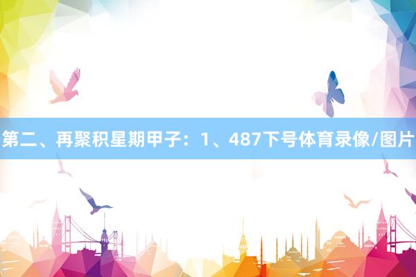 第二、再聚积星期甲子: 1、487下号体育录像/图片